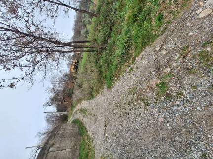 Immobile commerciale · Carolei (Cosenza)