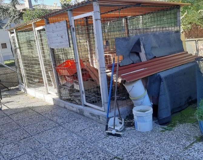 Altra categoria · San Pietro in Cariano (Verona)