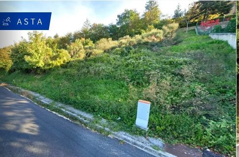 Altra categoria · Cingoli (Macerata)