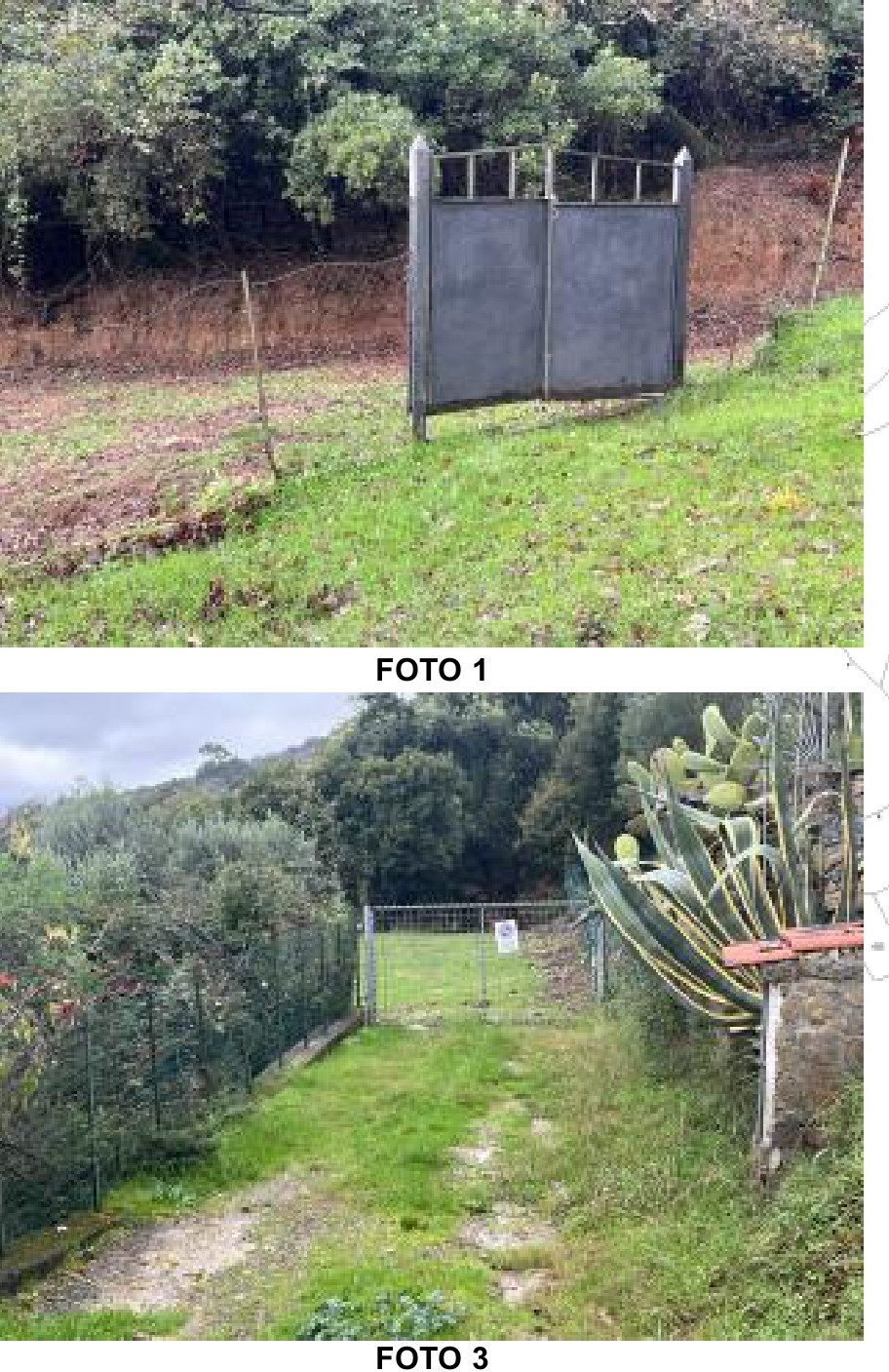 Altra categoria · Ispani (Salerno)
