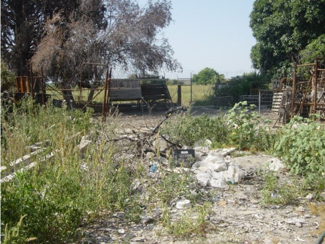 Altra categoria · Siracusa (Siracusa)