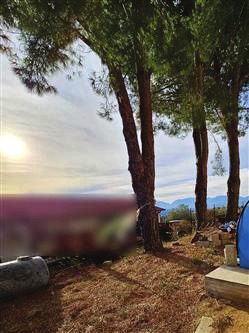 Altra categoria · Santa Sofia d'Epiro (Cosenza)