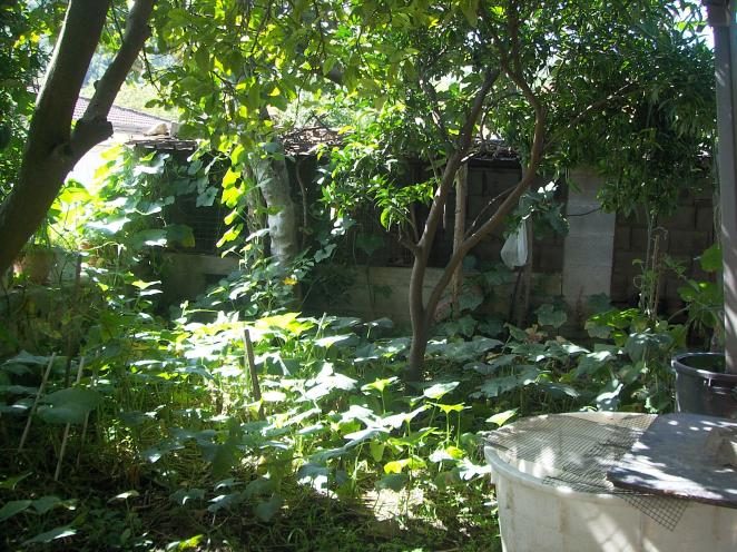 Immobile residenziale · Cervino (Caserta)