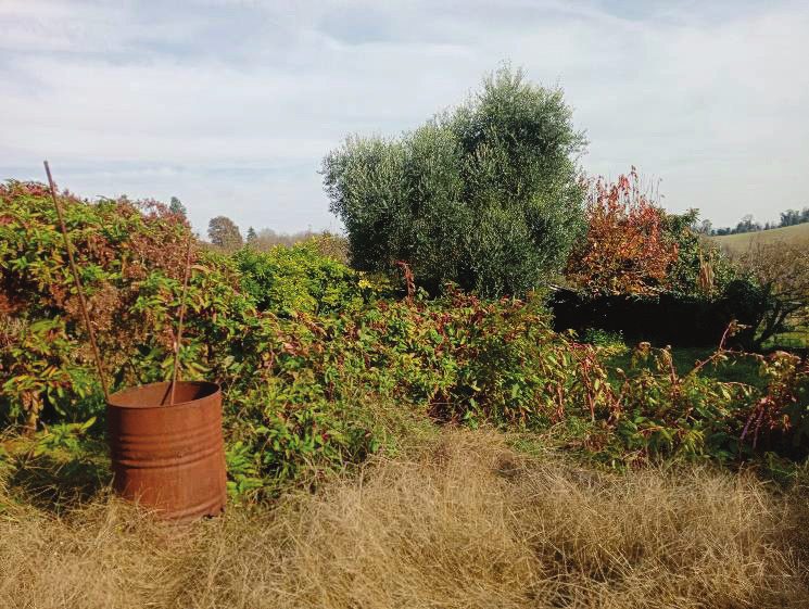 Immobile residenziale · Camino (Alessandria)